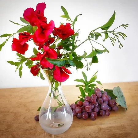 阿雷廷公寓酒店 3*